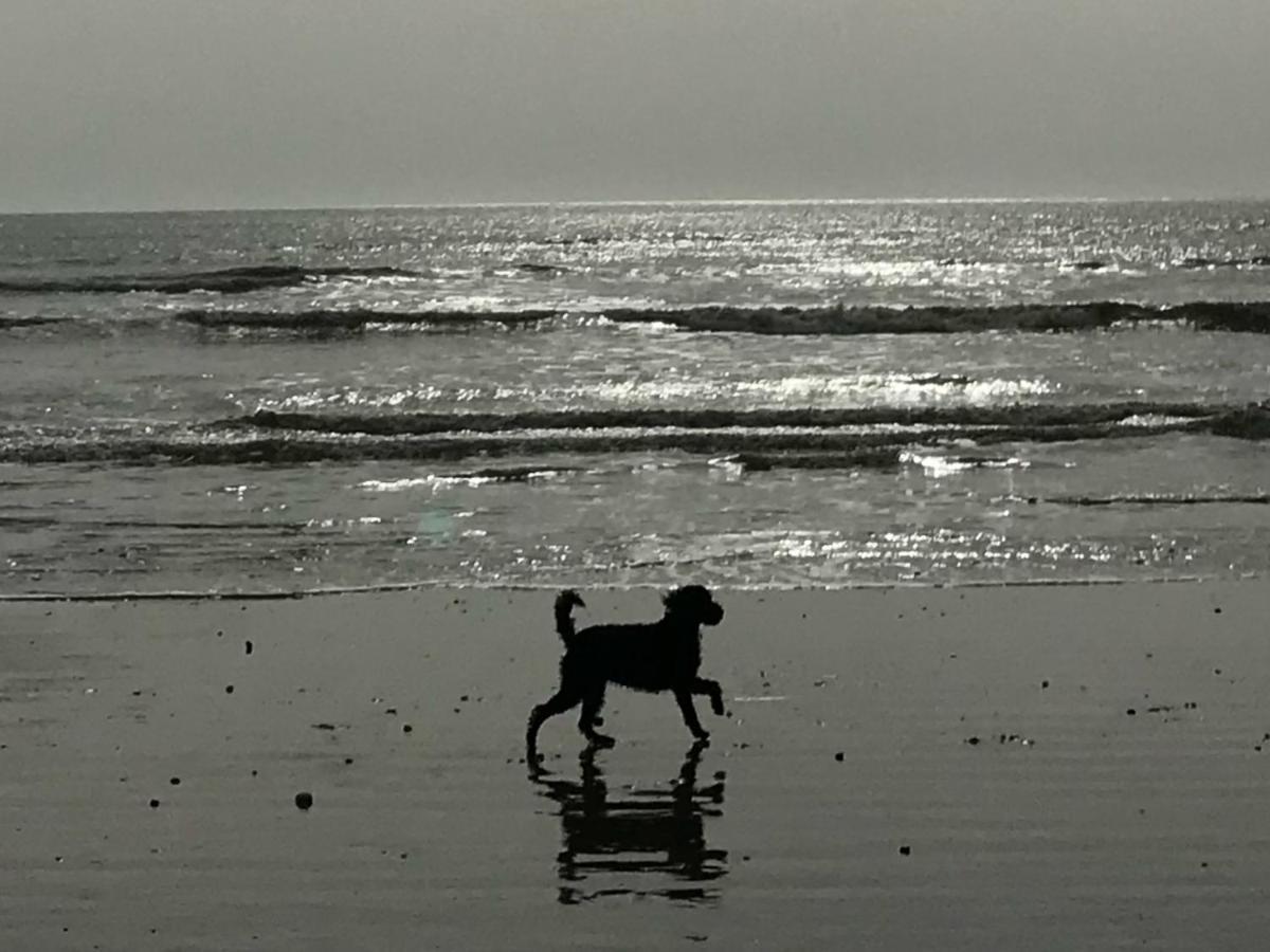 Сasa de vacaciones Pebble Worthing