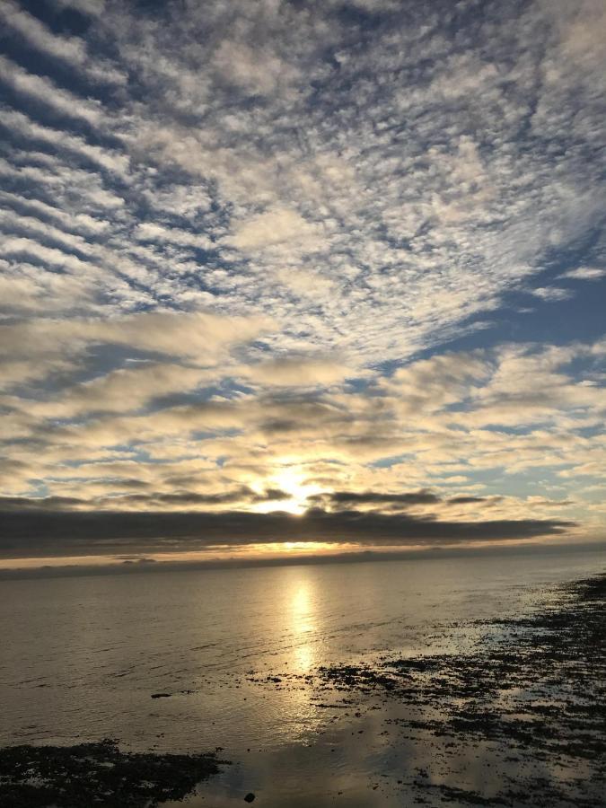 Pebble * Worthing